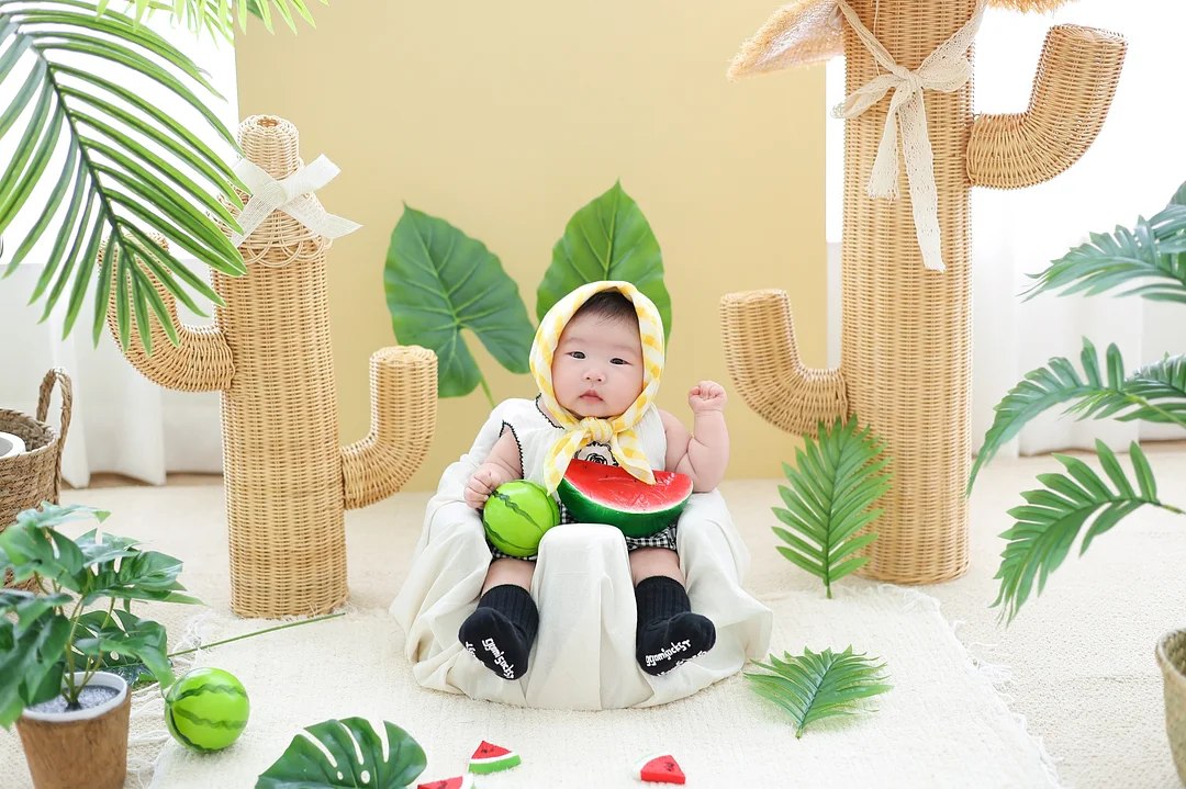 배추흰나비 키우기 & 개미 관찰키트 1