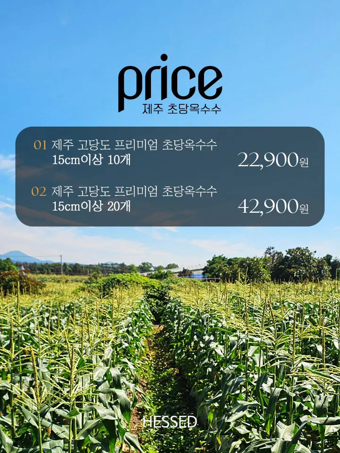 왁뿌 말랑이 키캡 7