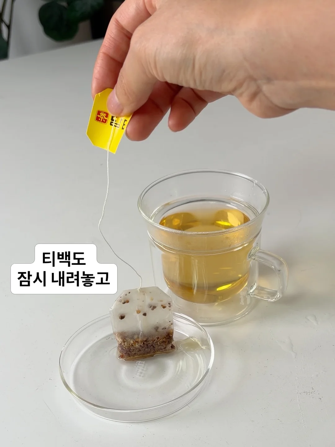유니 베이직 보트넥 반팔티 14