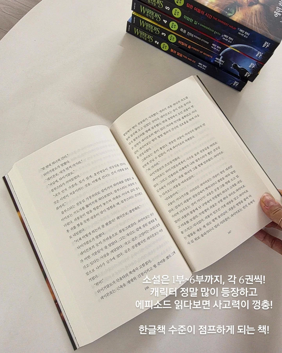 주방 오염방지 투명 시트지 4