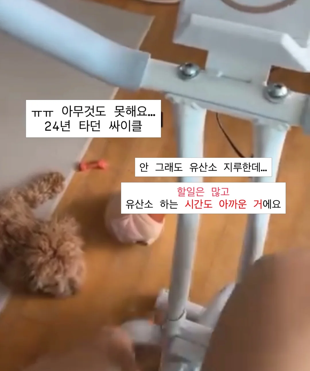 테스트기 5
