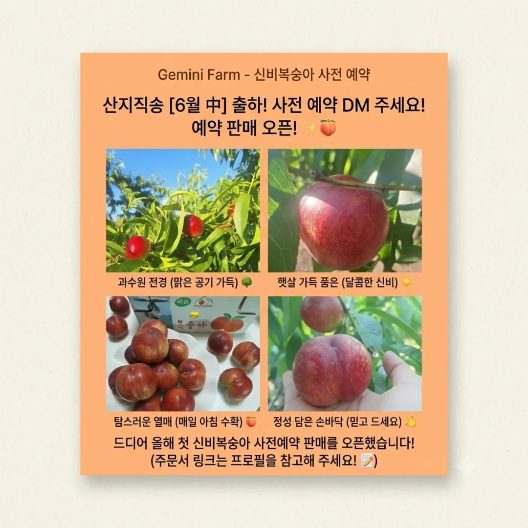 이탈리아 파드 커피 1