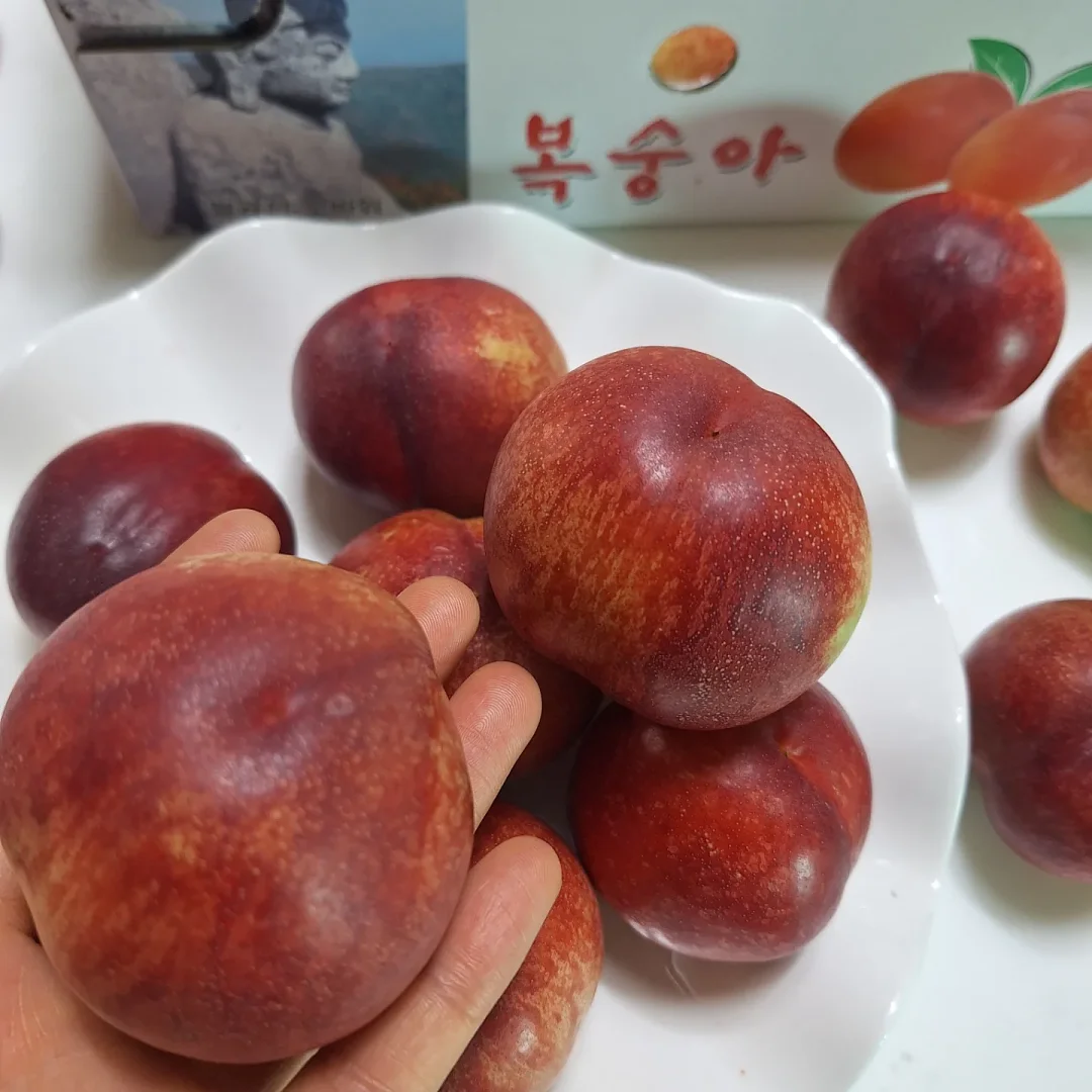 이탈리아 파드 커피 6