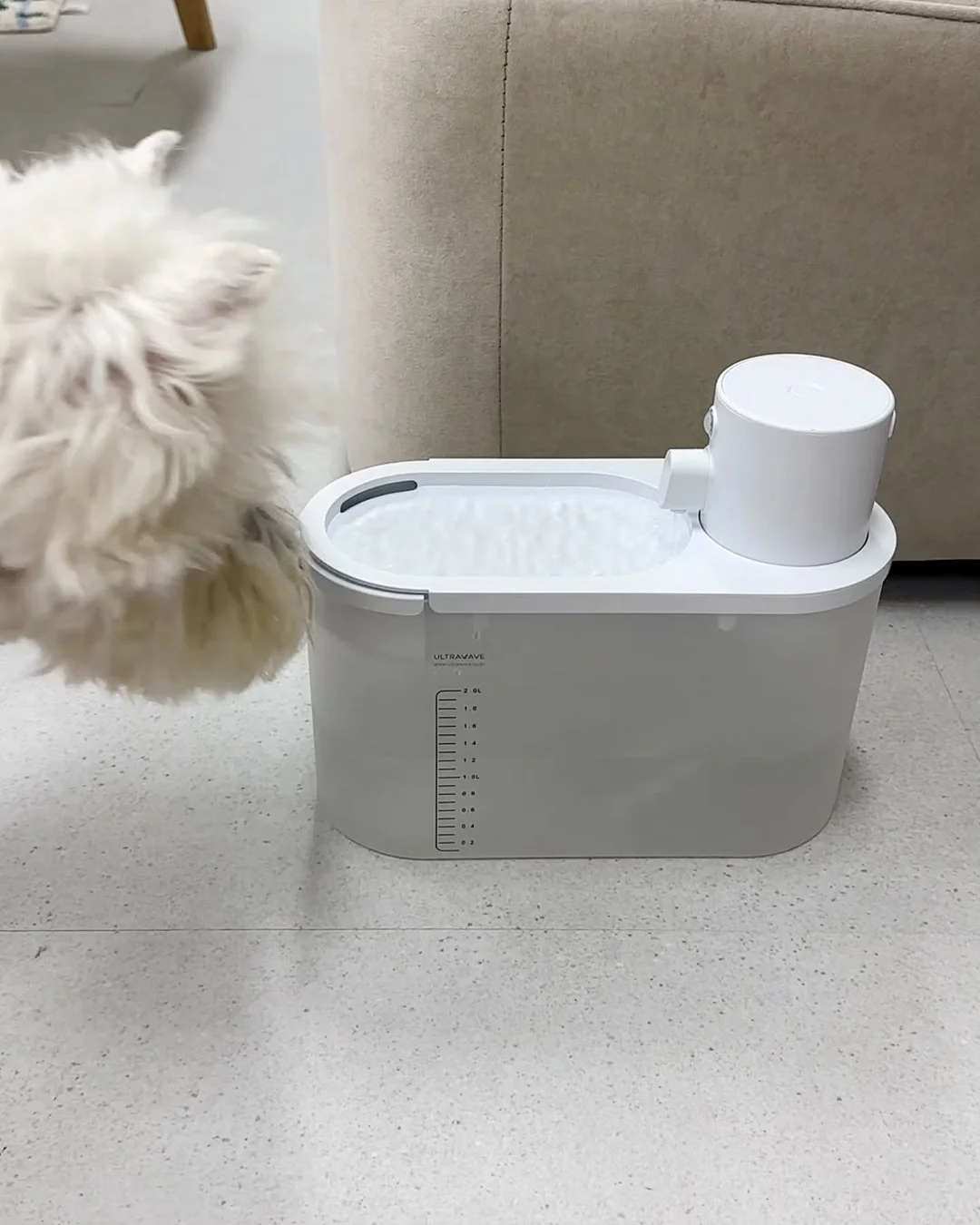펀퍼니 동물 메디컬 센터 6