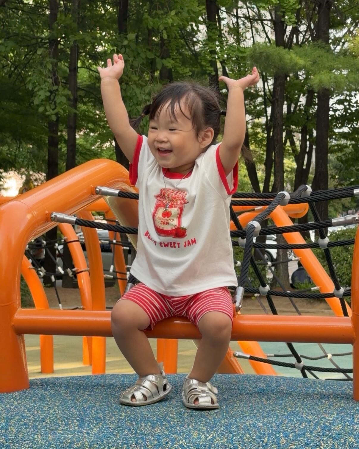 폴리포켓 섀도우 팔레트 16