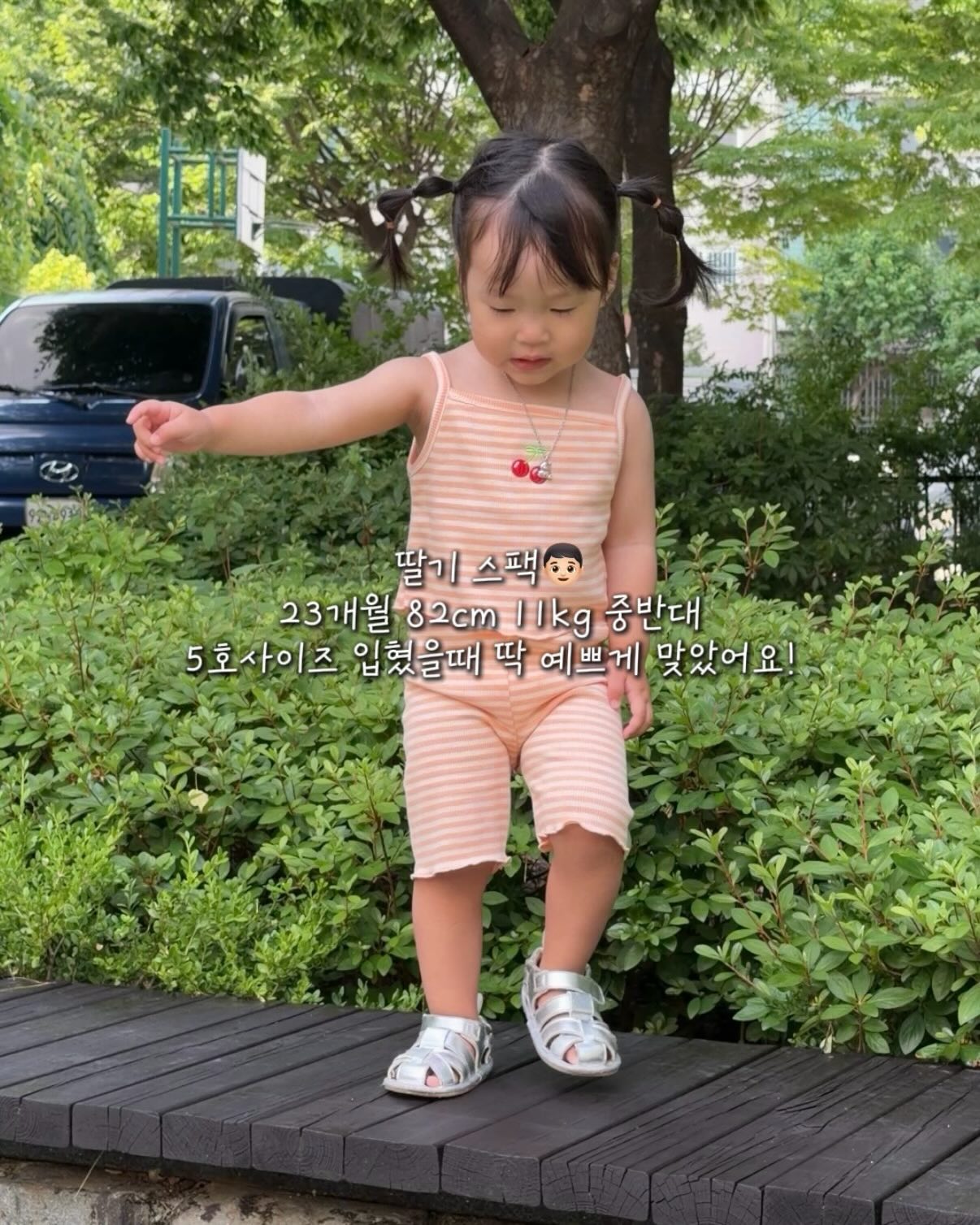 폴리포켓 섀도우 팔레트 6