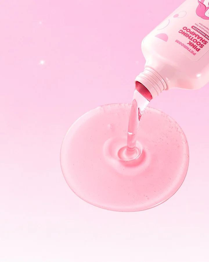 아깽이빗