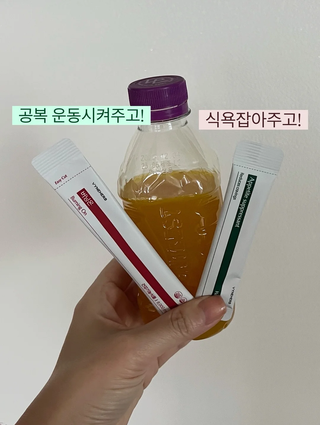 블랑제 스탠드 믹서 3