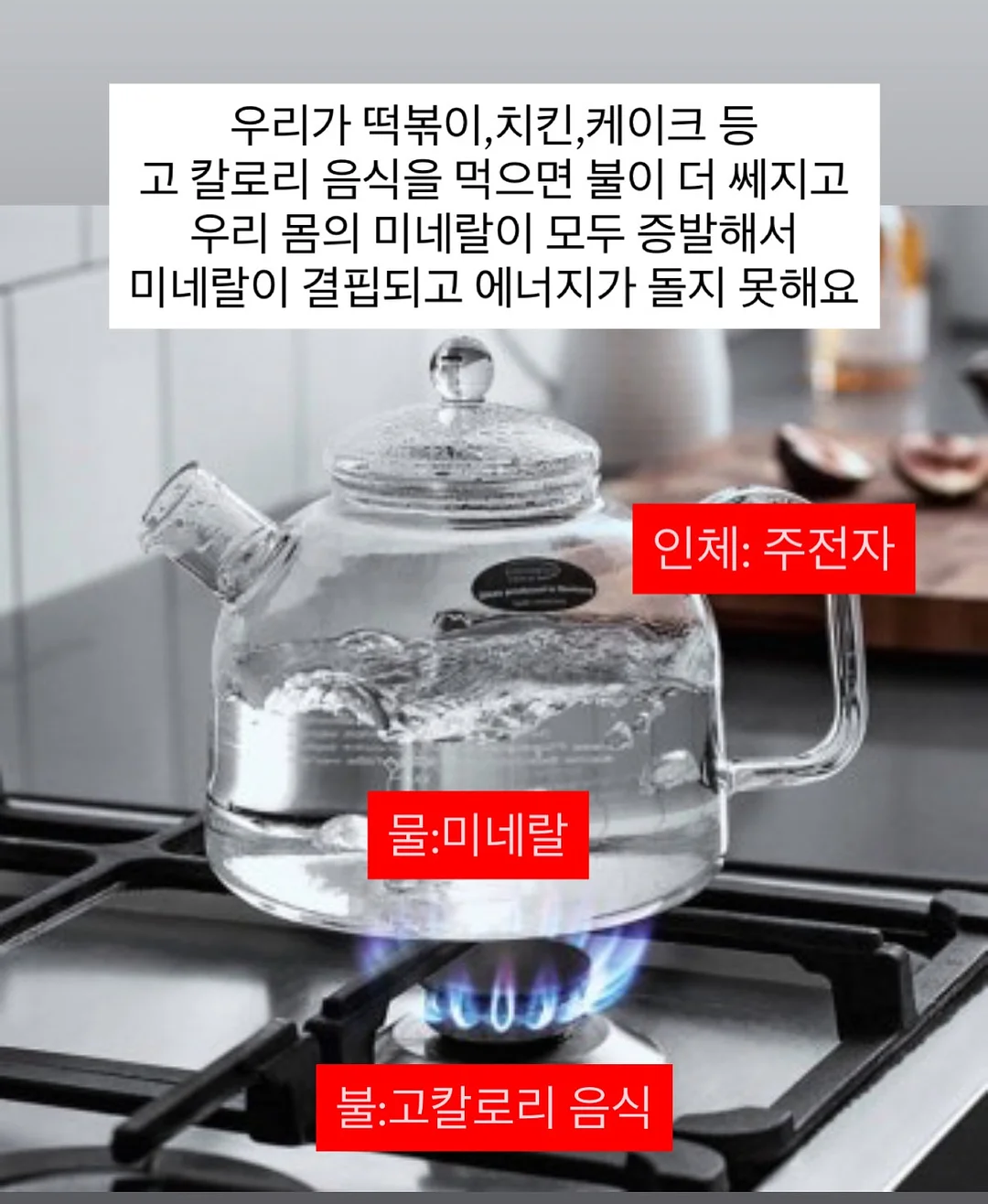 차앤박피부과 맞춤 프로그램 4