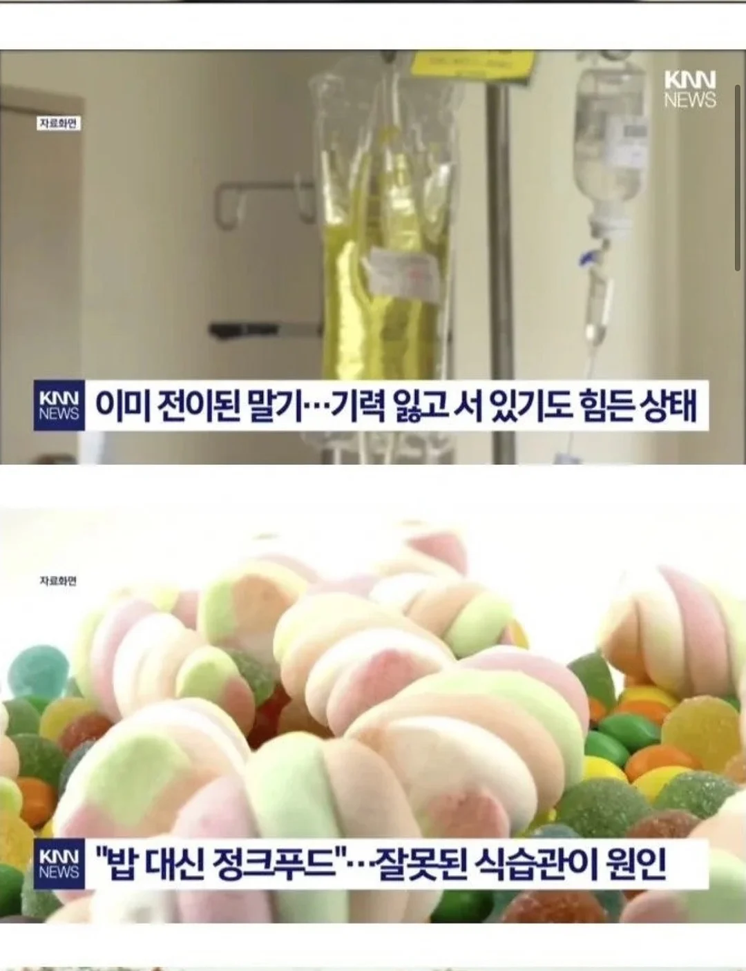라누베케이크 쿠키케이크 2