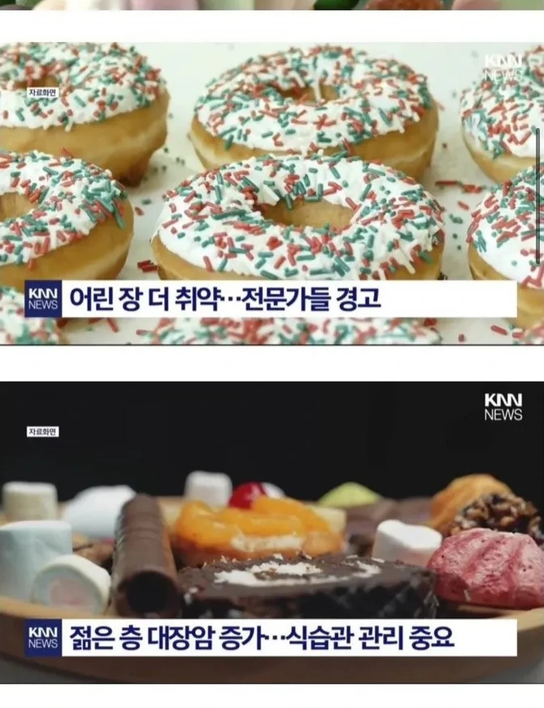 라누베케이크 쿠키케이크 3