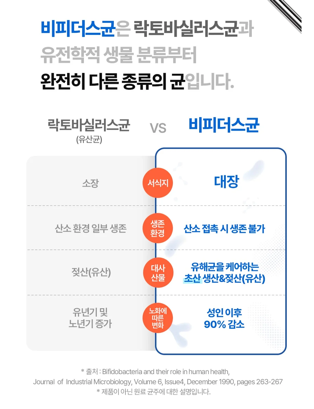 라누베케이크 쿠키케이크 7