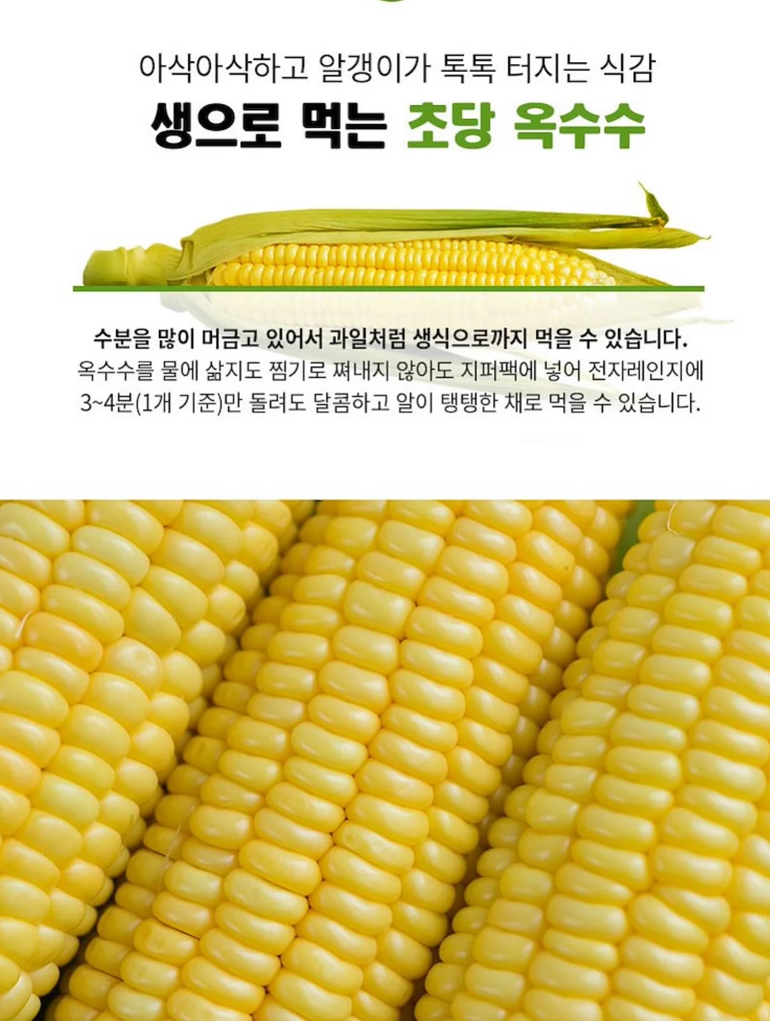 치이카와 미니 파일 박스 11