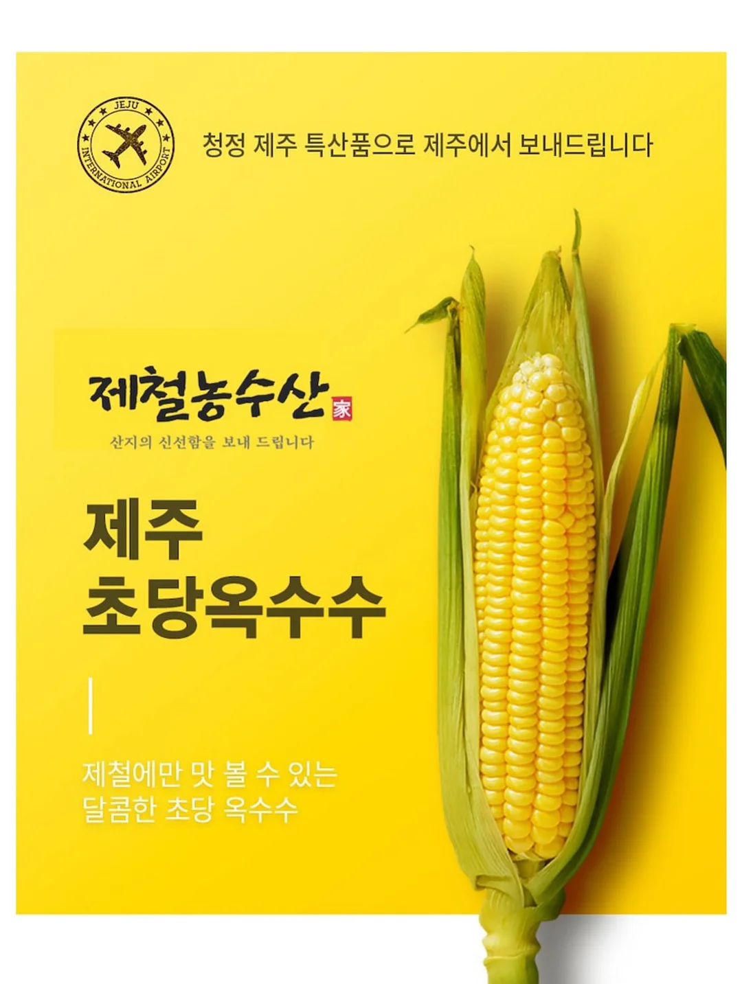 치이카와 미니 파일 박스 2