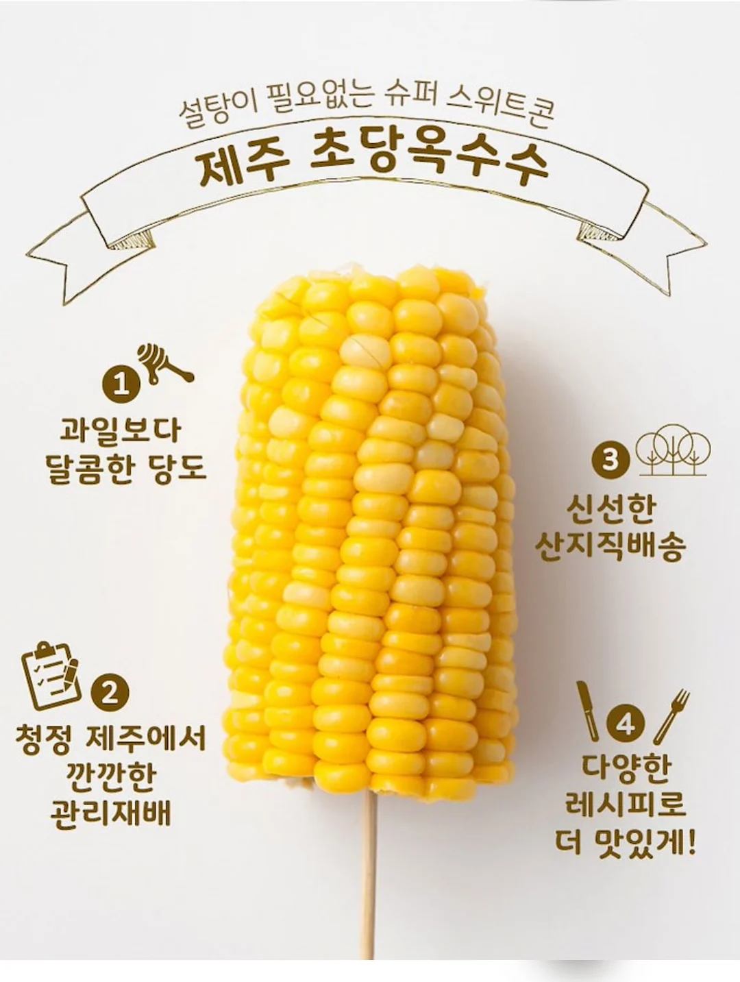 치이카와 미니 파일 박스 3