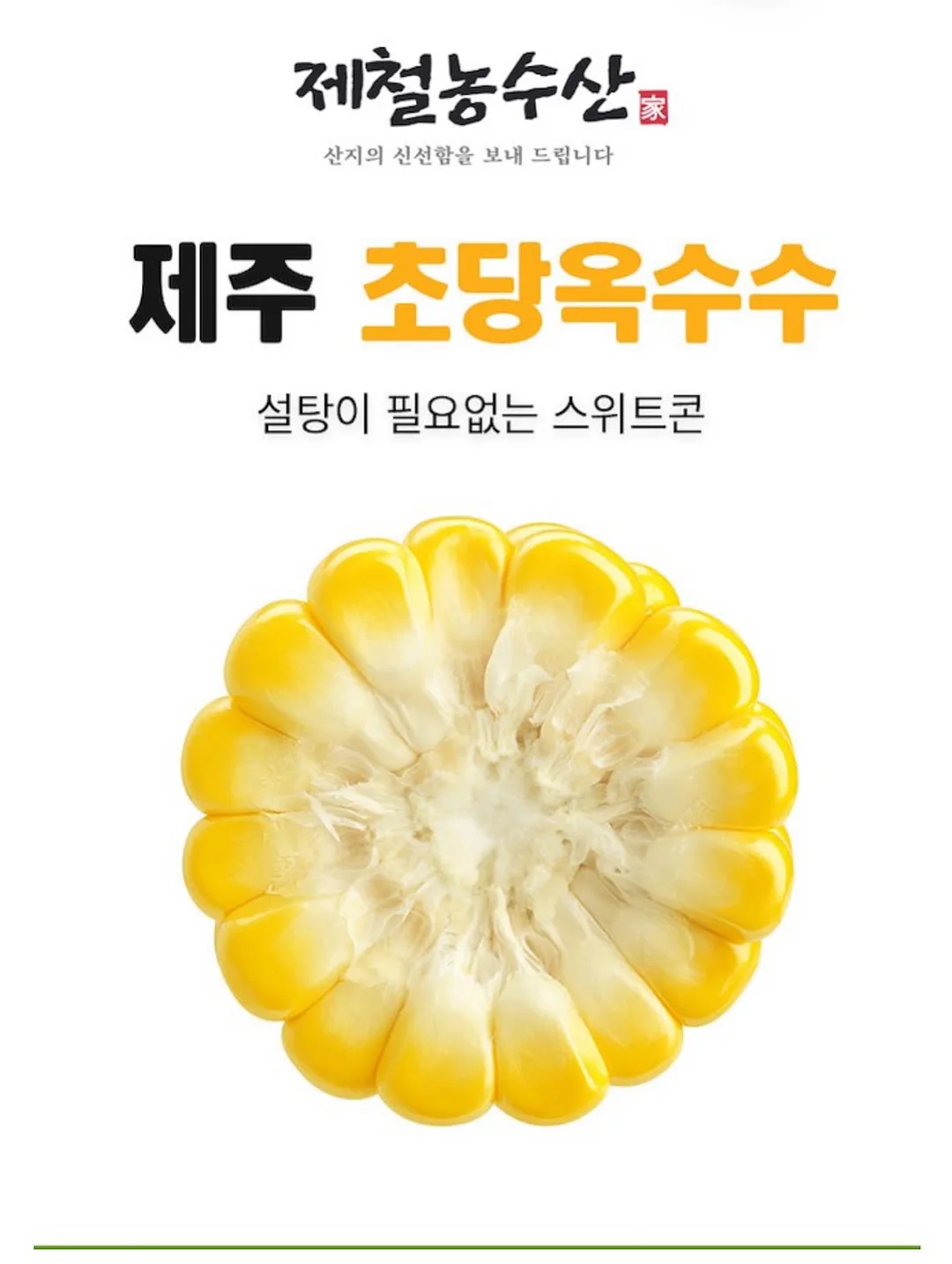 치이카와 미니 파일 박스 4