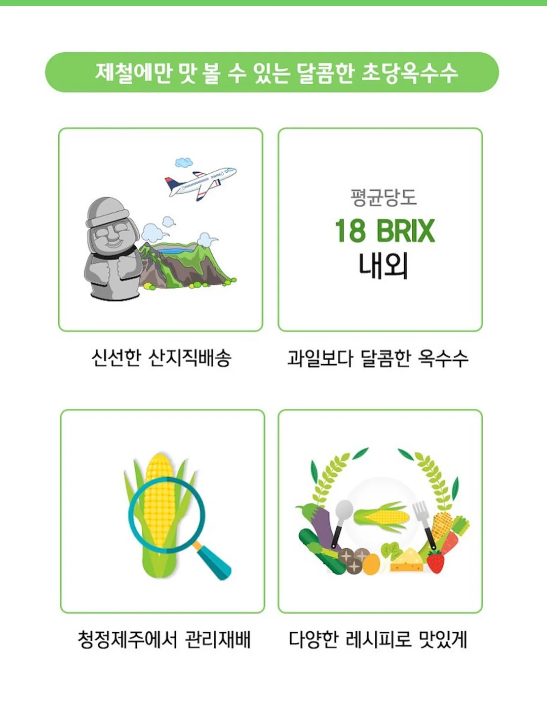 치이카와 미니 파일 박스 6