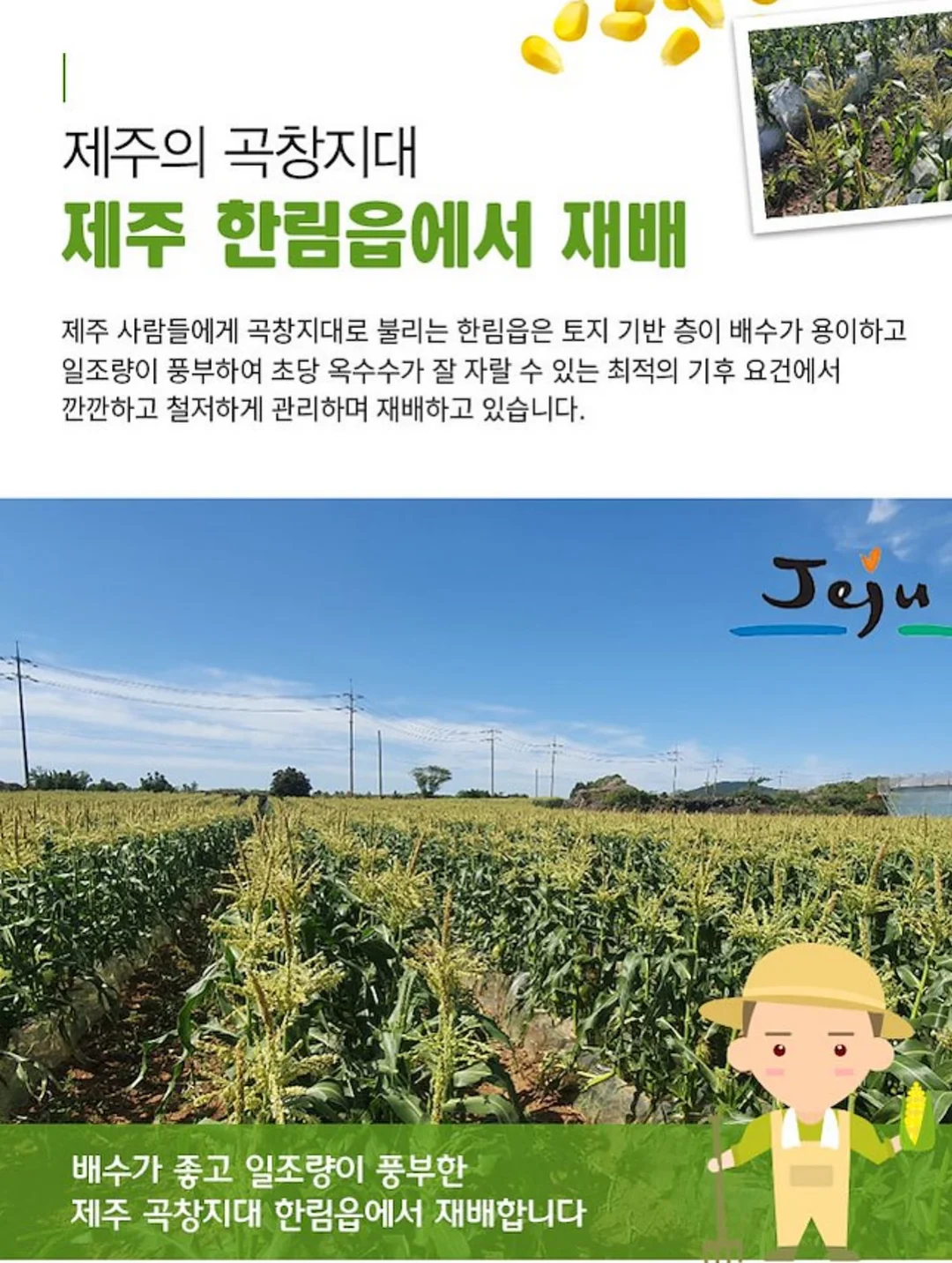 치이카와 미니 파일 박스 8