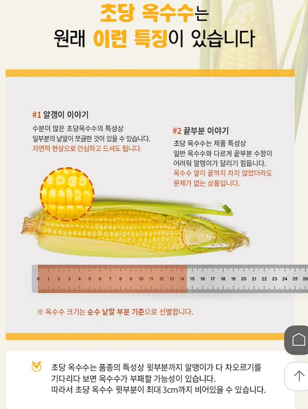 치이카와 미니 파일 박스 9