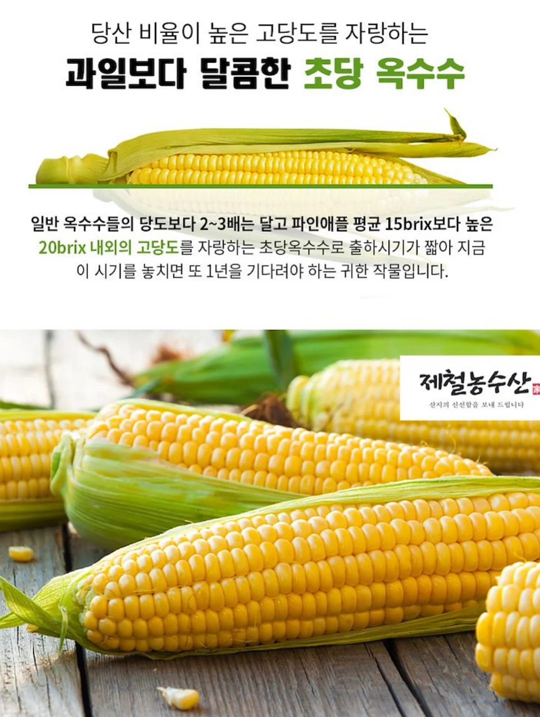 치이카와 미니 파일 박스 10