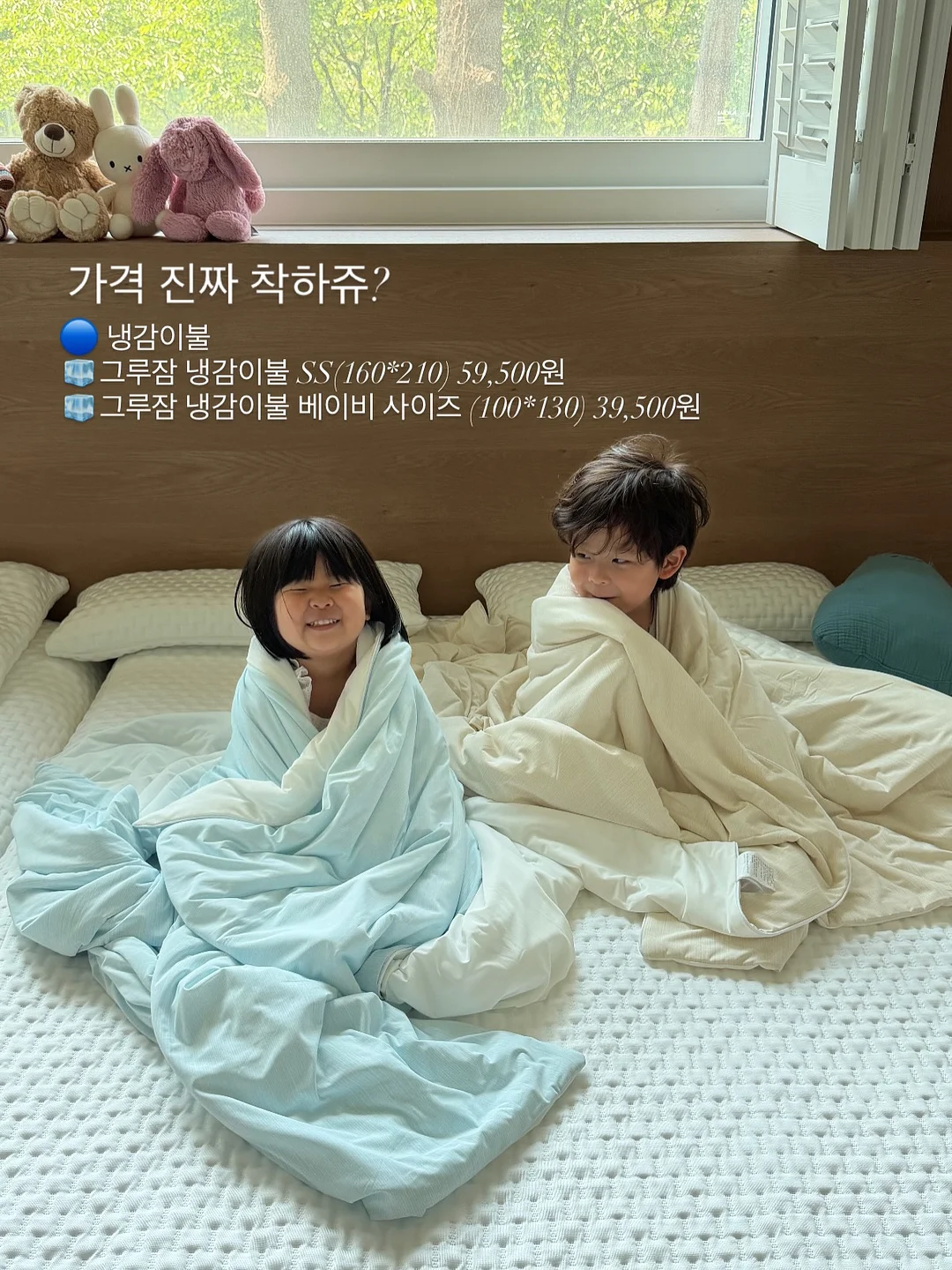 스파티필름 화분 13