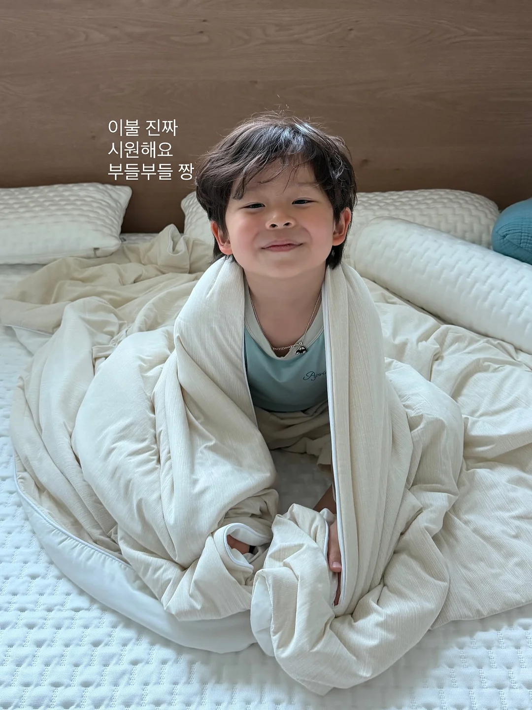 스파티필름 화분 14