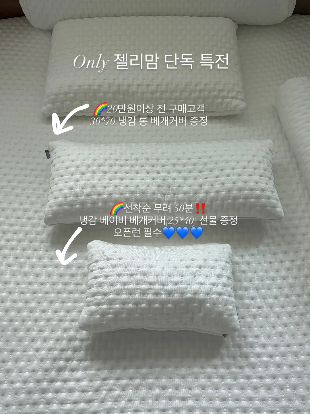 스파티필름 화분 3