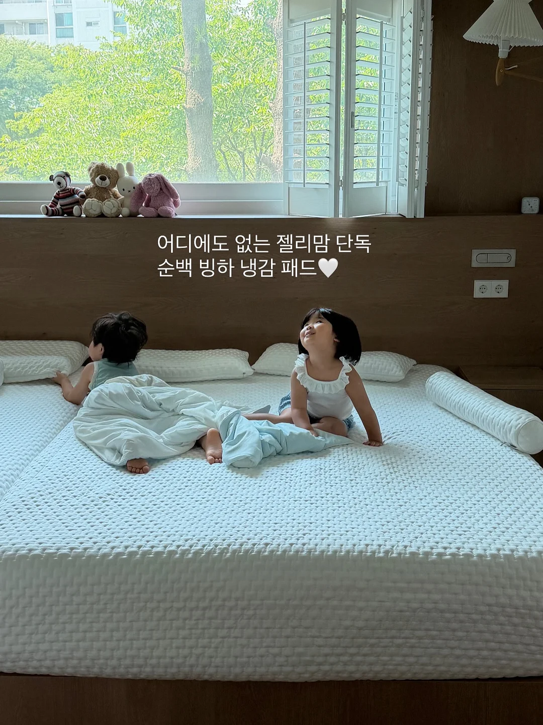 스파티필름 화분 7