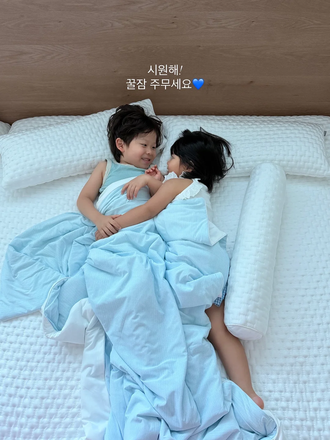 스파티필름 화분 9