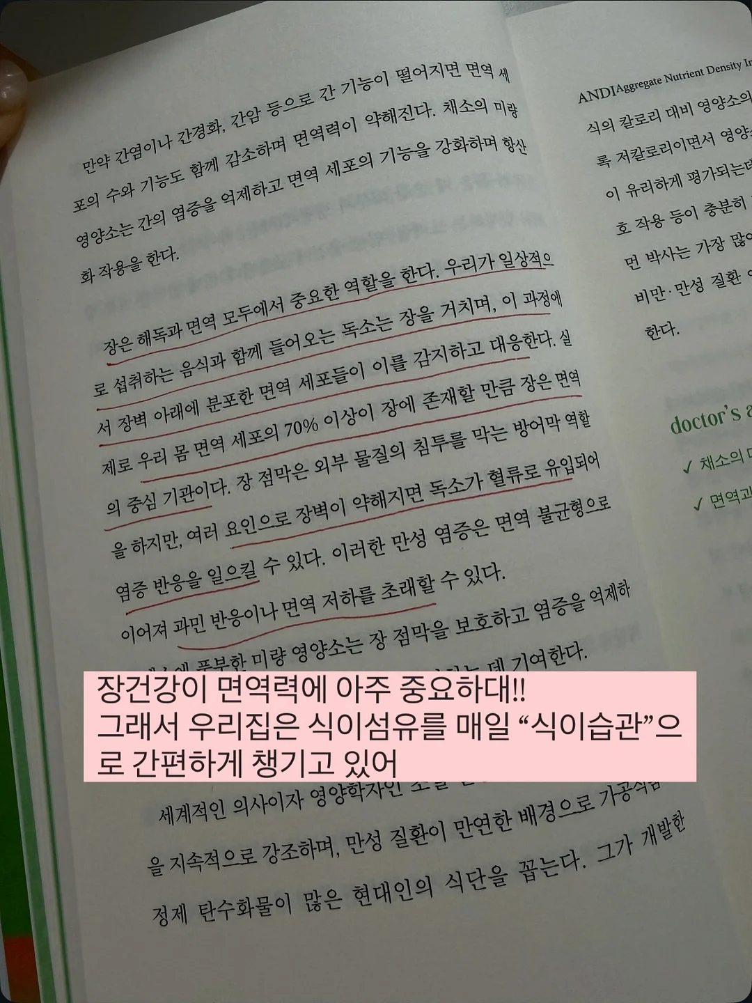 활 갯가재 9
