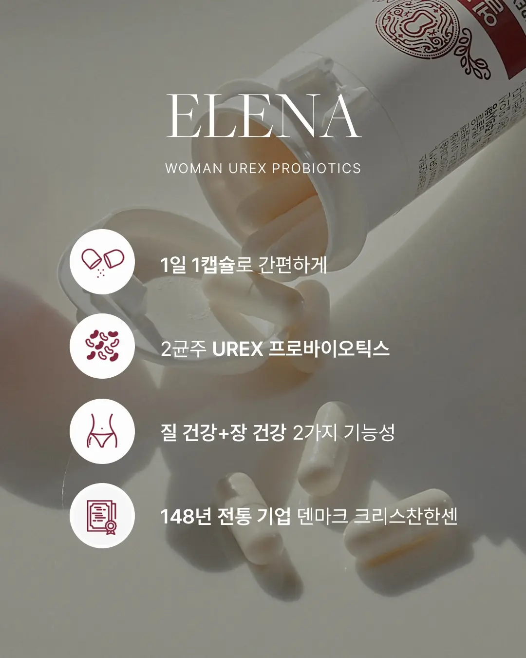 그로다 쫀스틱 2