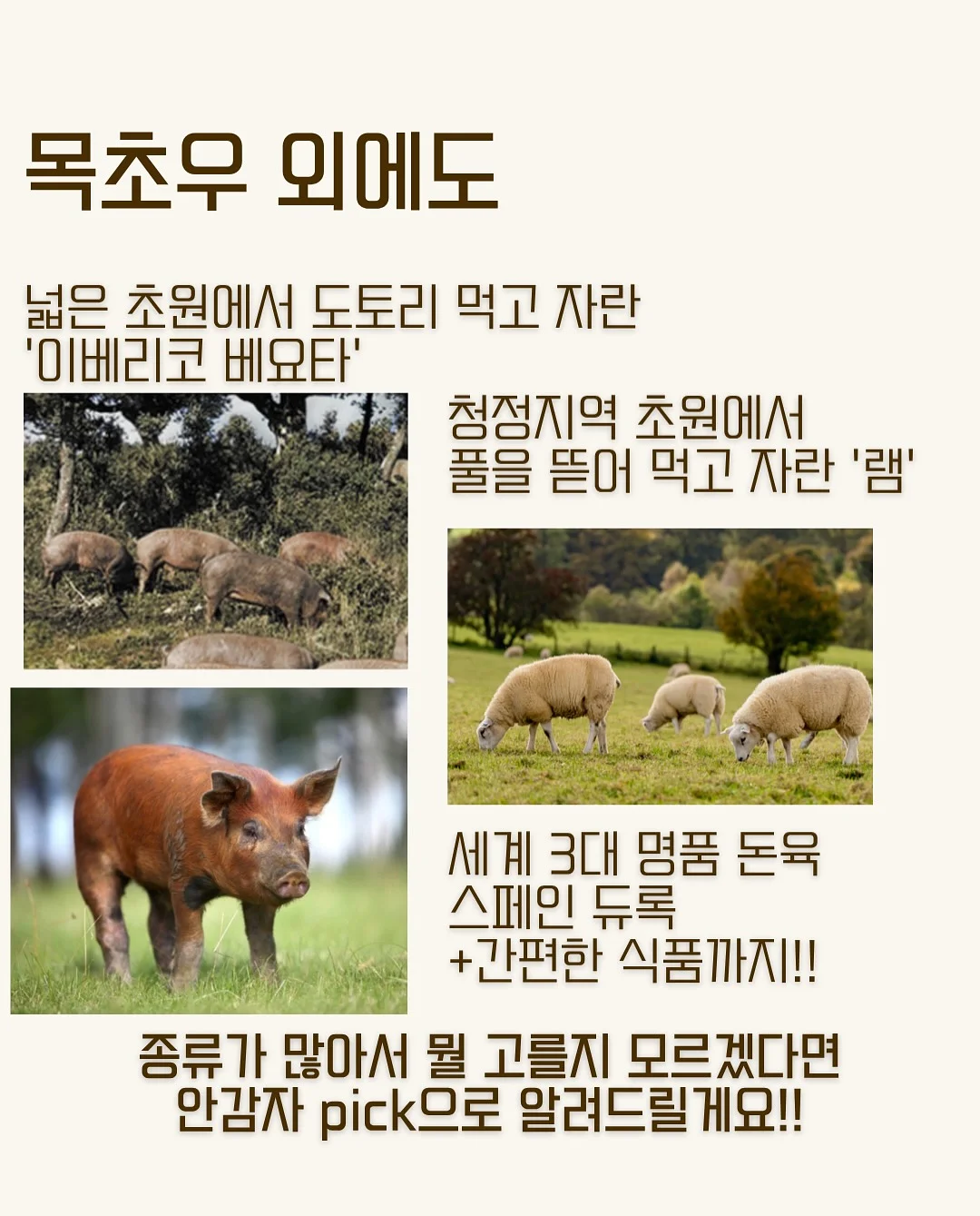삭제밤 8
