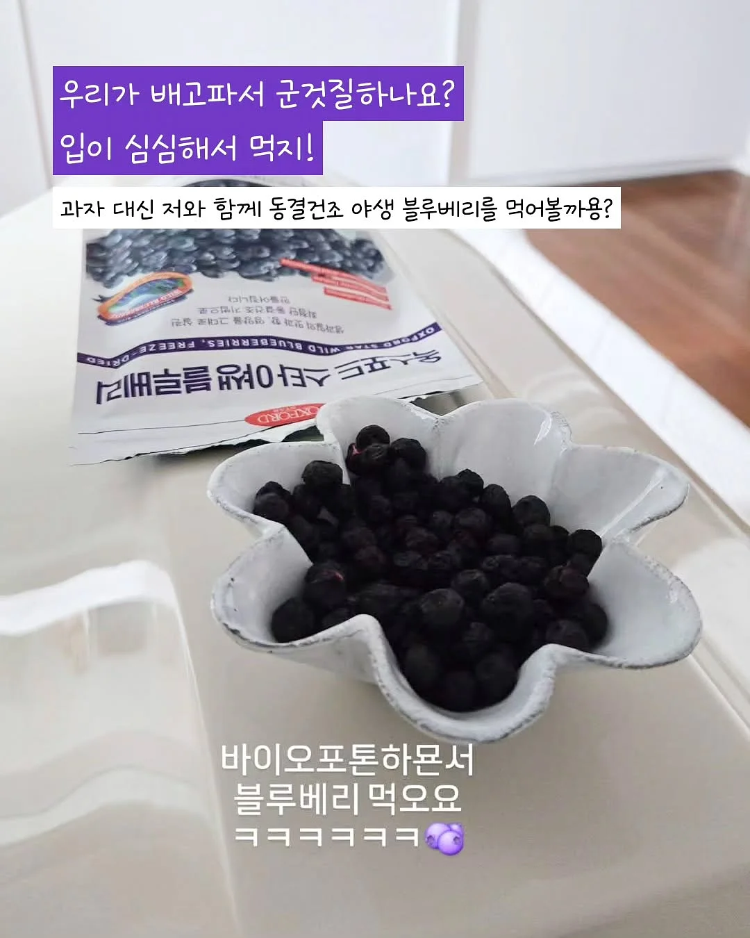 세상은 바쁘고 나는 카피바라 1