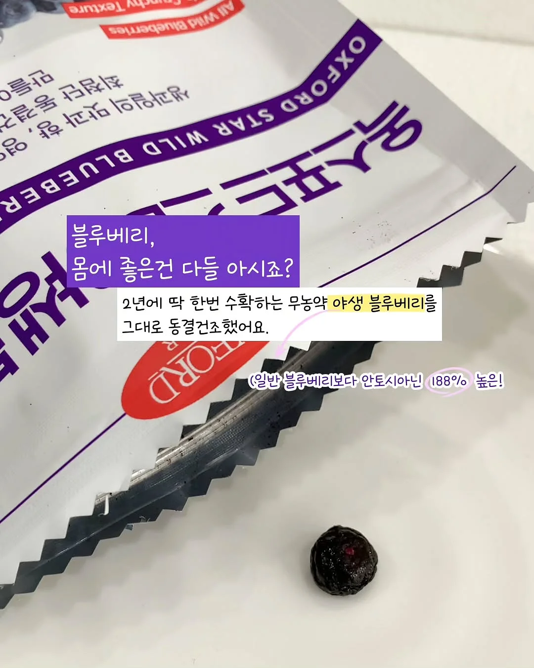 세상은 바쁘고 나는 카피바라 3
