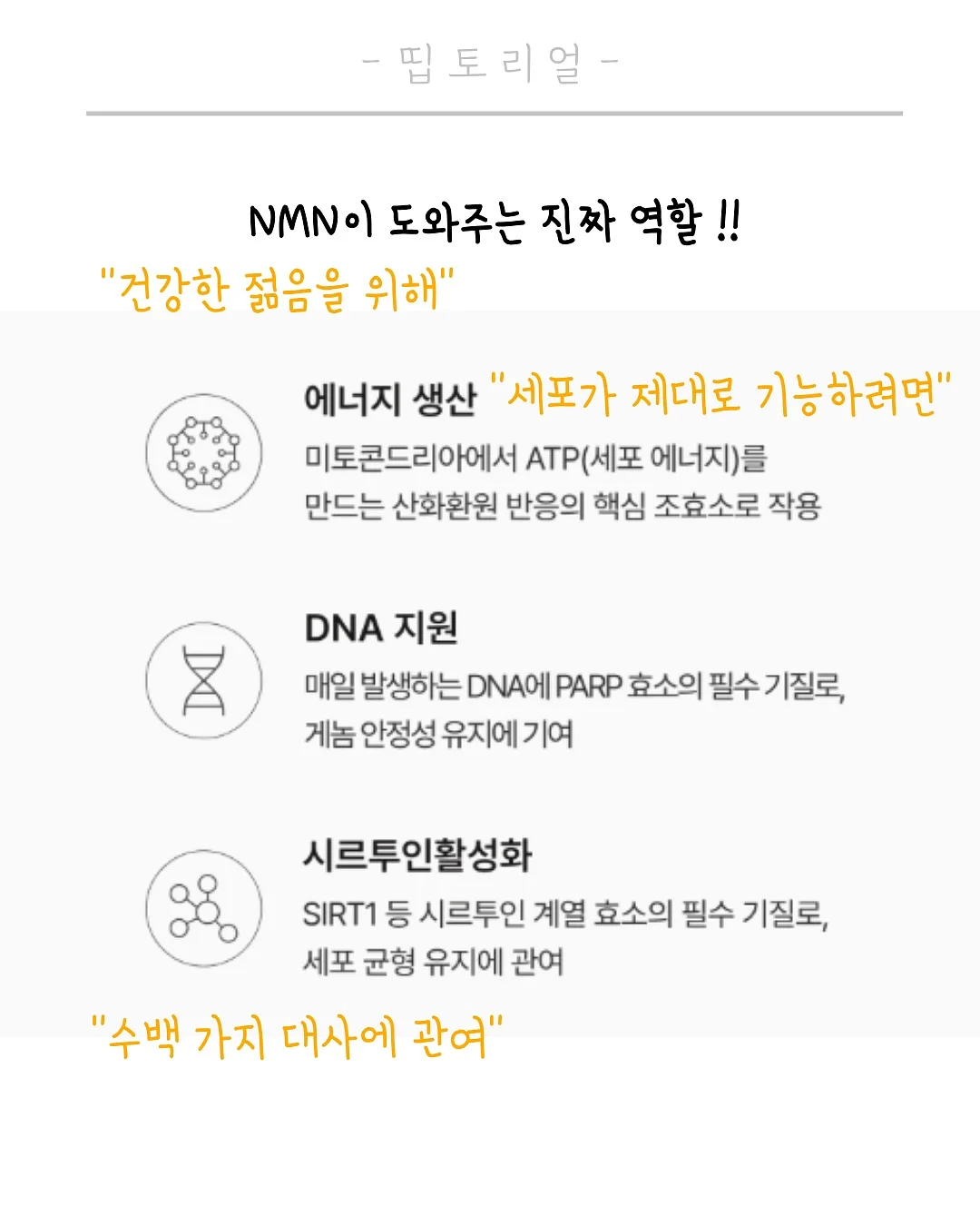 토마토크럼블 세미크런치 슬라임 3