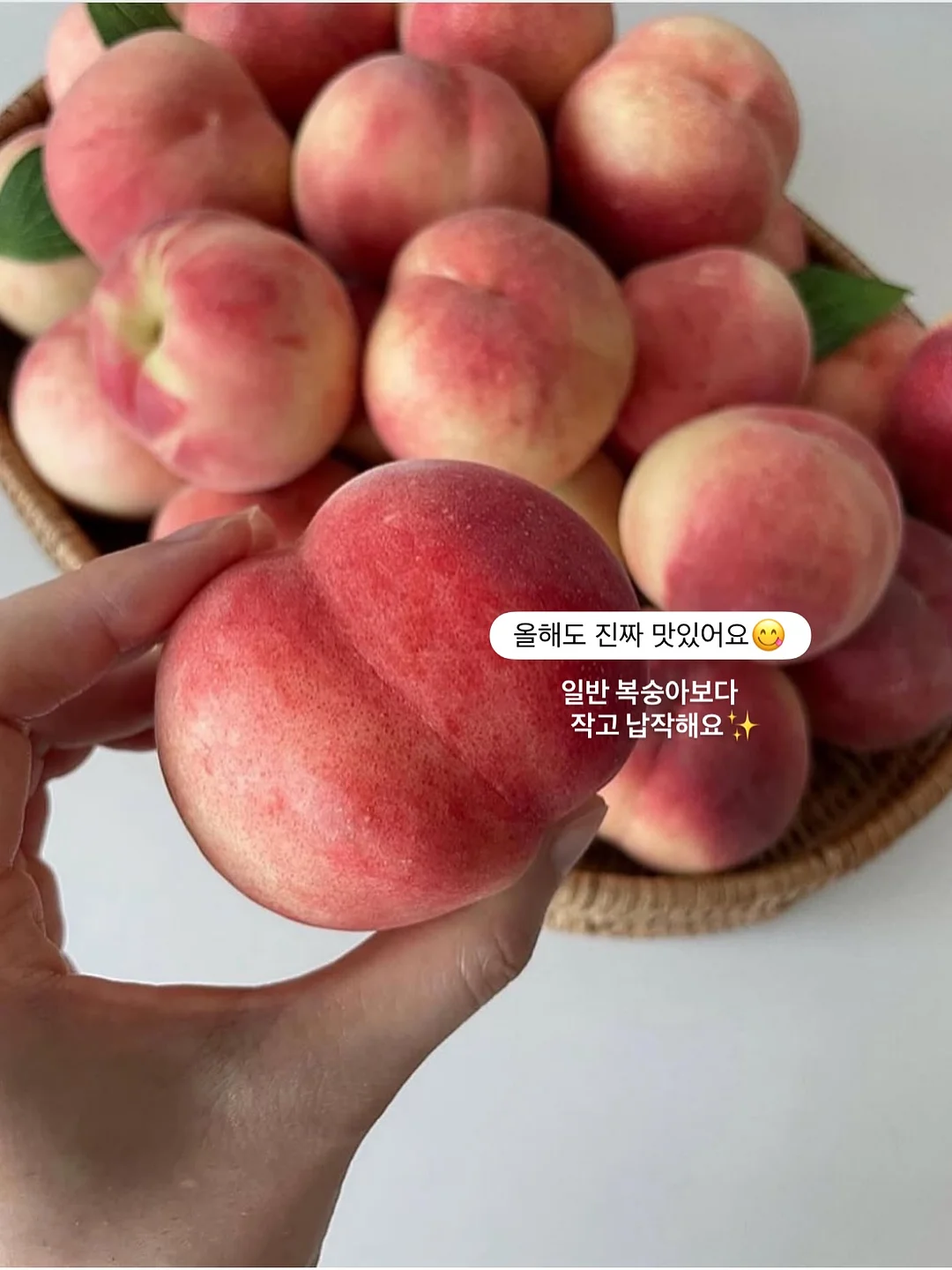 리락쿠마 에어팟 케이스 2