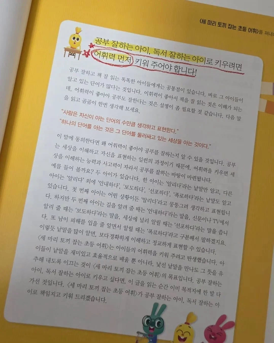 얼굴 부종 관리 제품 11