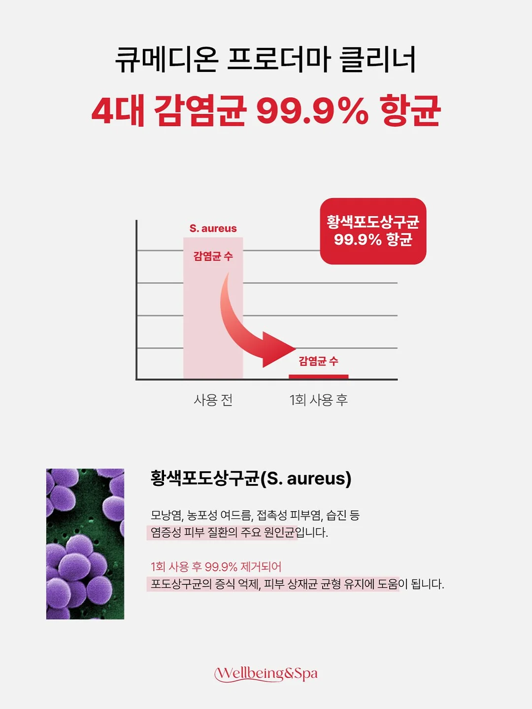 수족관 12
