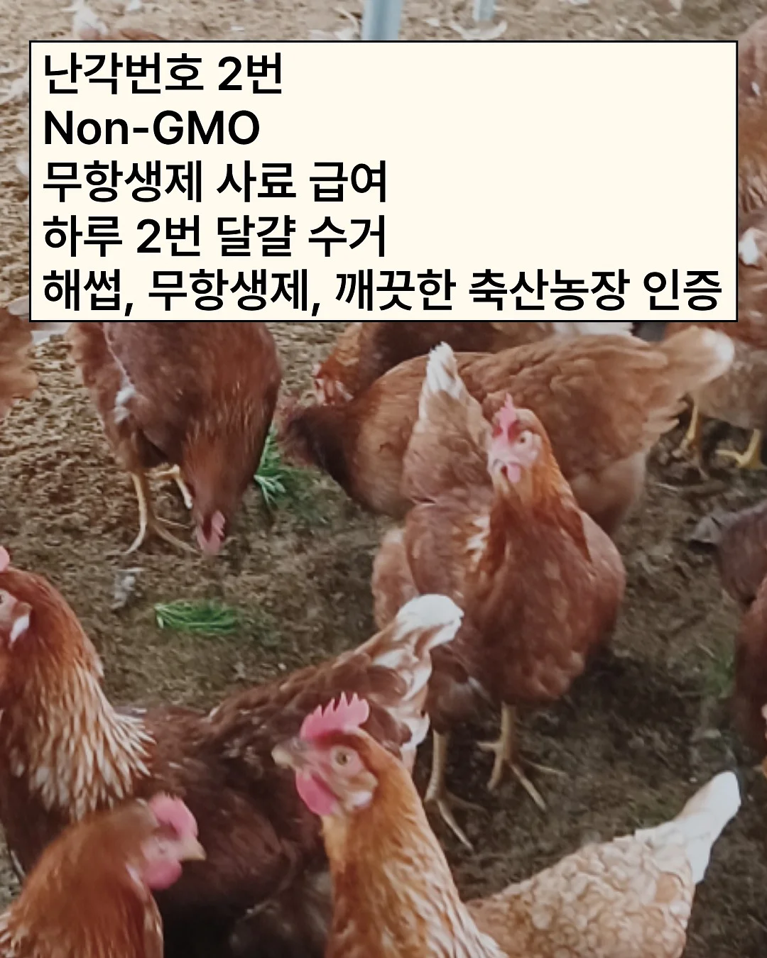 파밀리아 프로 라이트 에어텐트 3