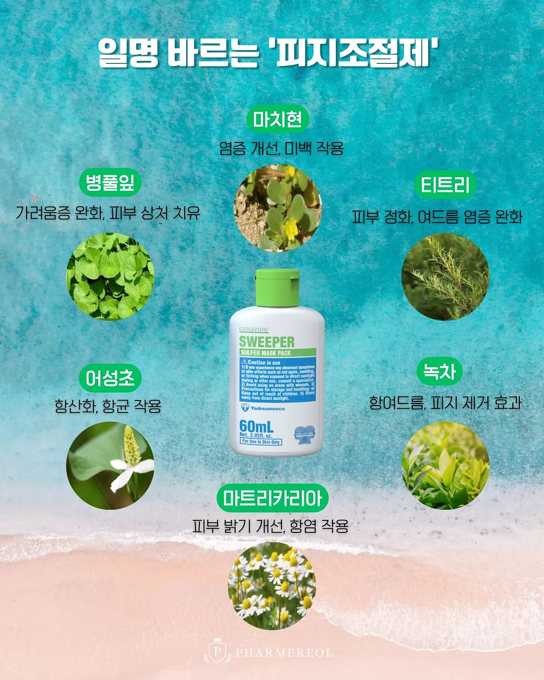 양화대곡 13