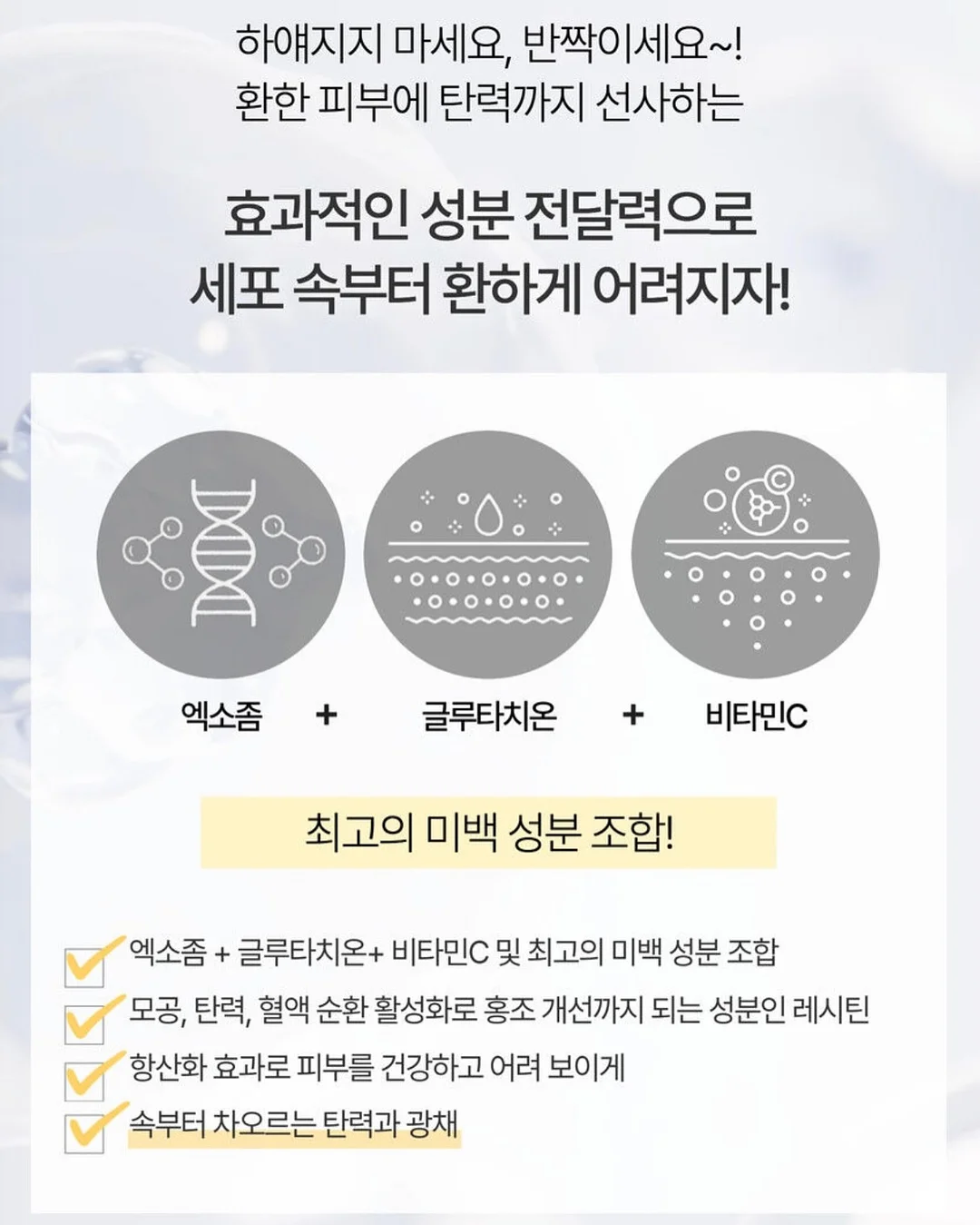 여행용 4칸 소분 용기 3