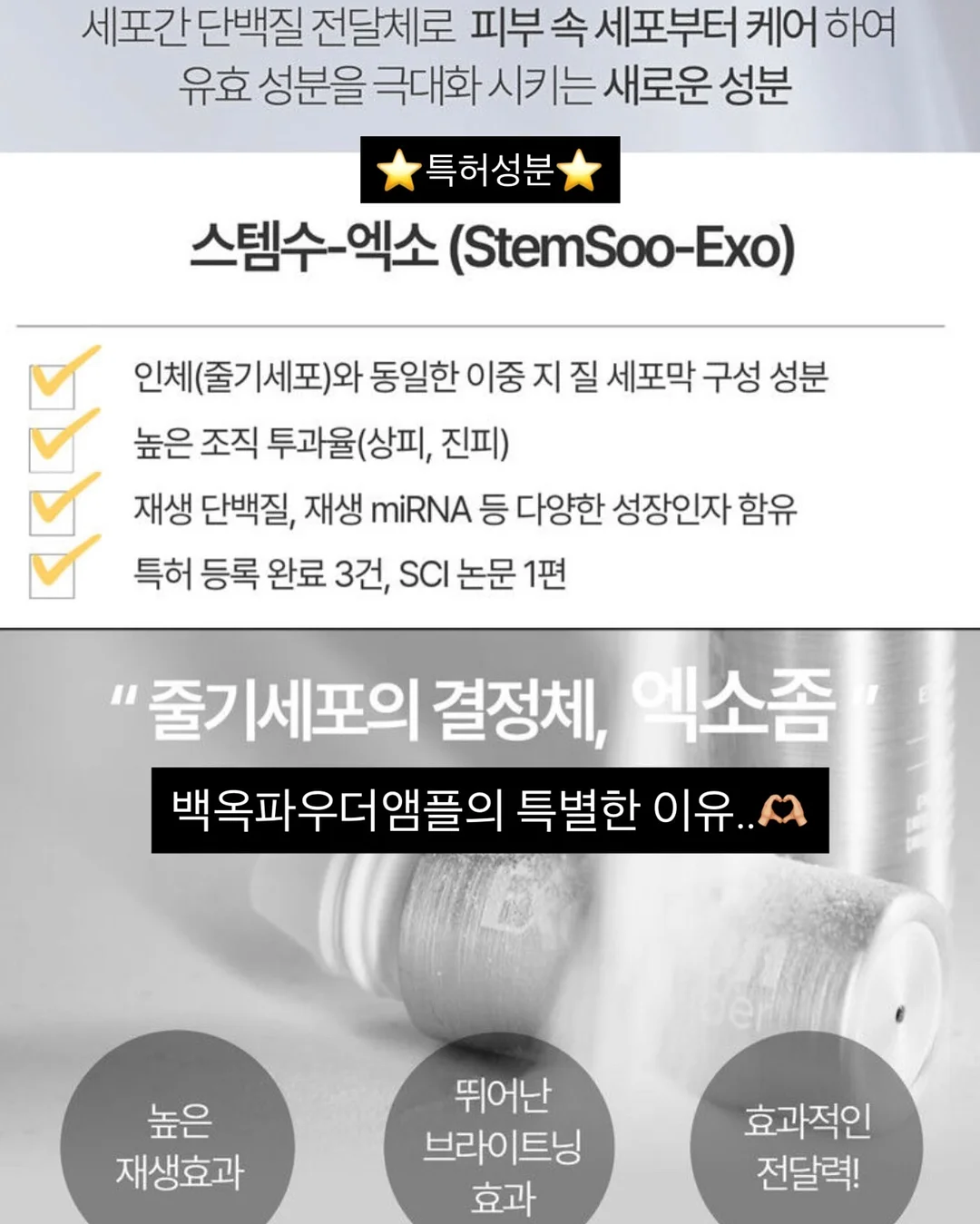 여행용 4칸 소분 용기 4