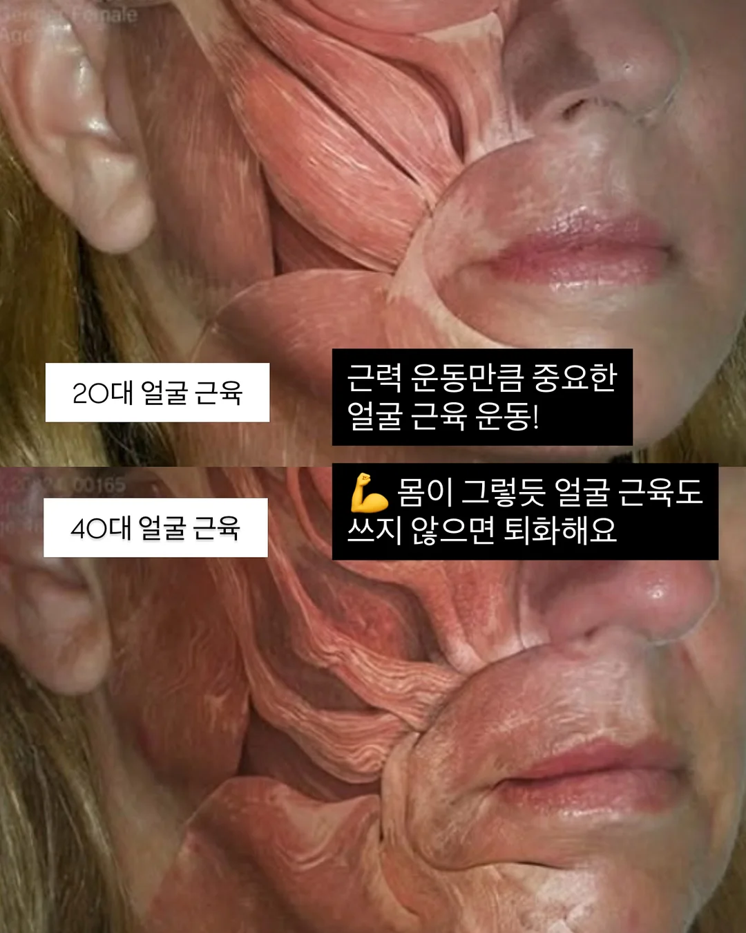 방울토마토 마리네이드 3