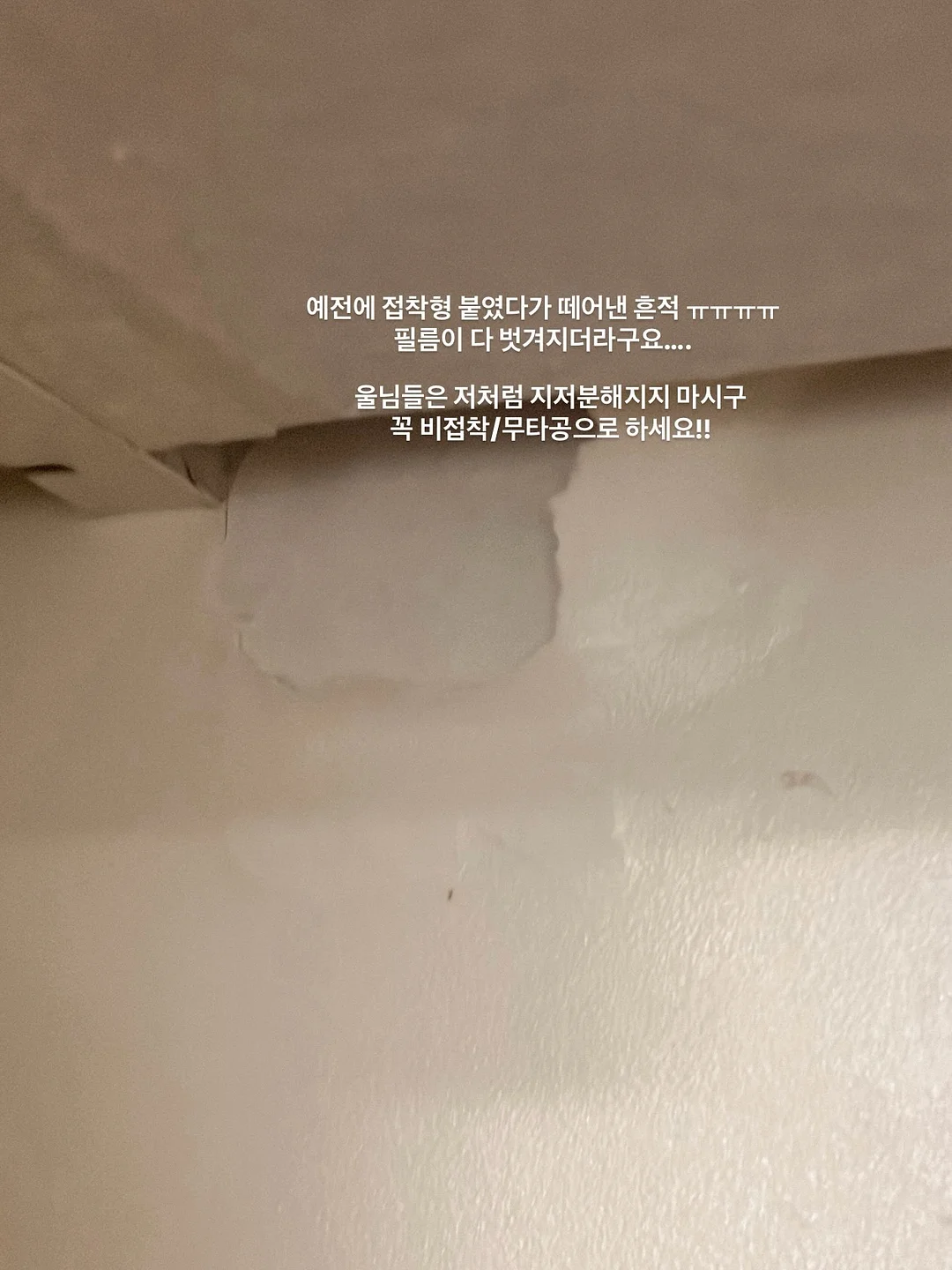 아이스볼 얼음컵 6
