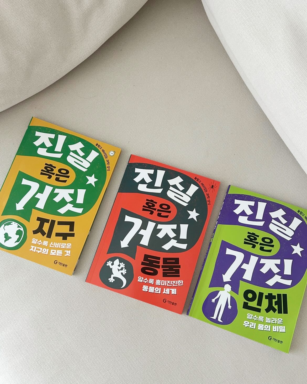 CORE 코튼 스웻 셋업 2