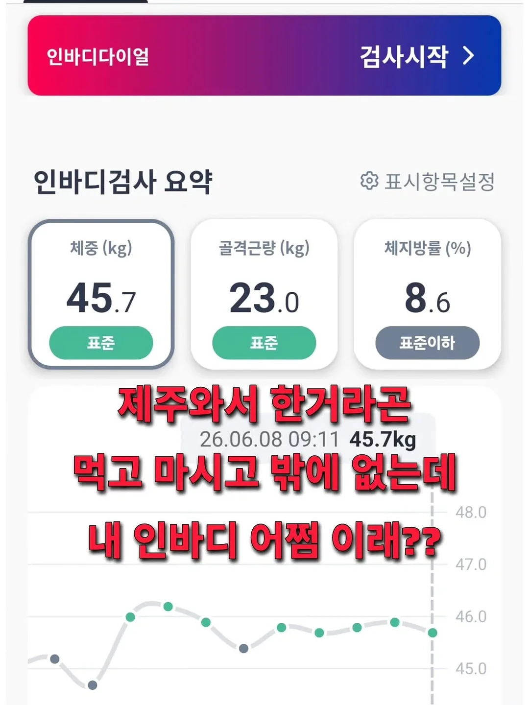 블러셔 10