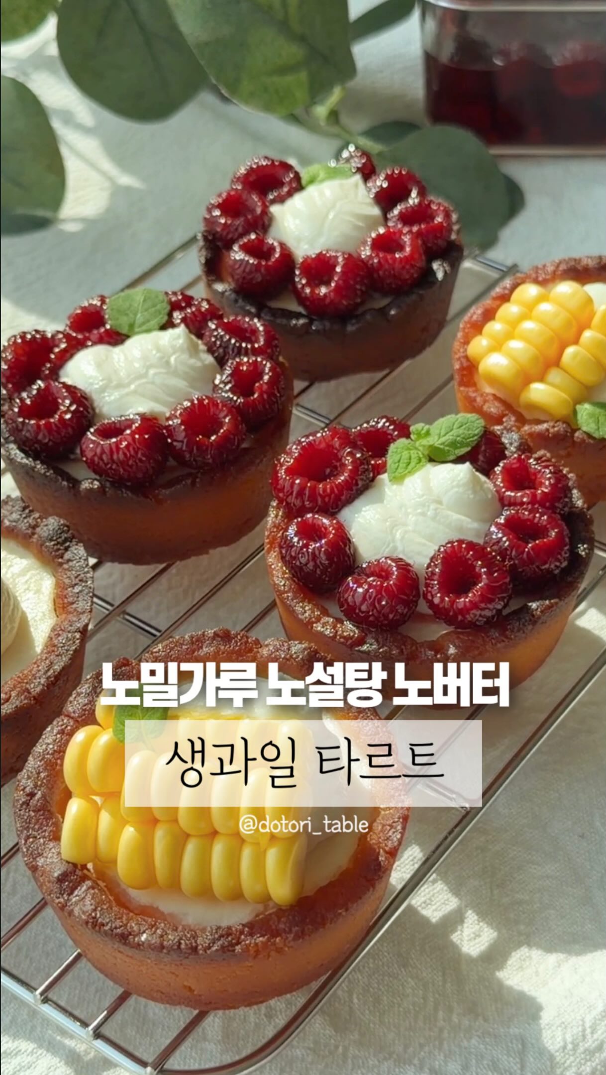 파이나밀 치즈 그라인더
