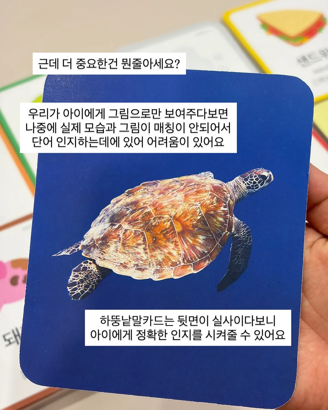 산산브라운 가라아게 4