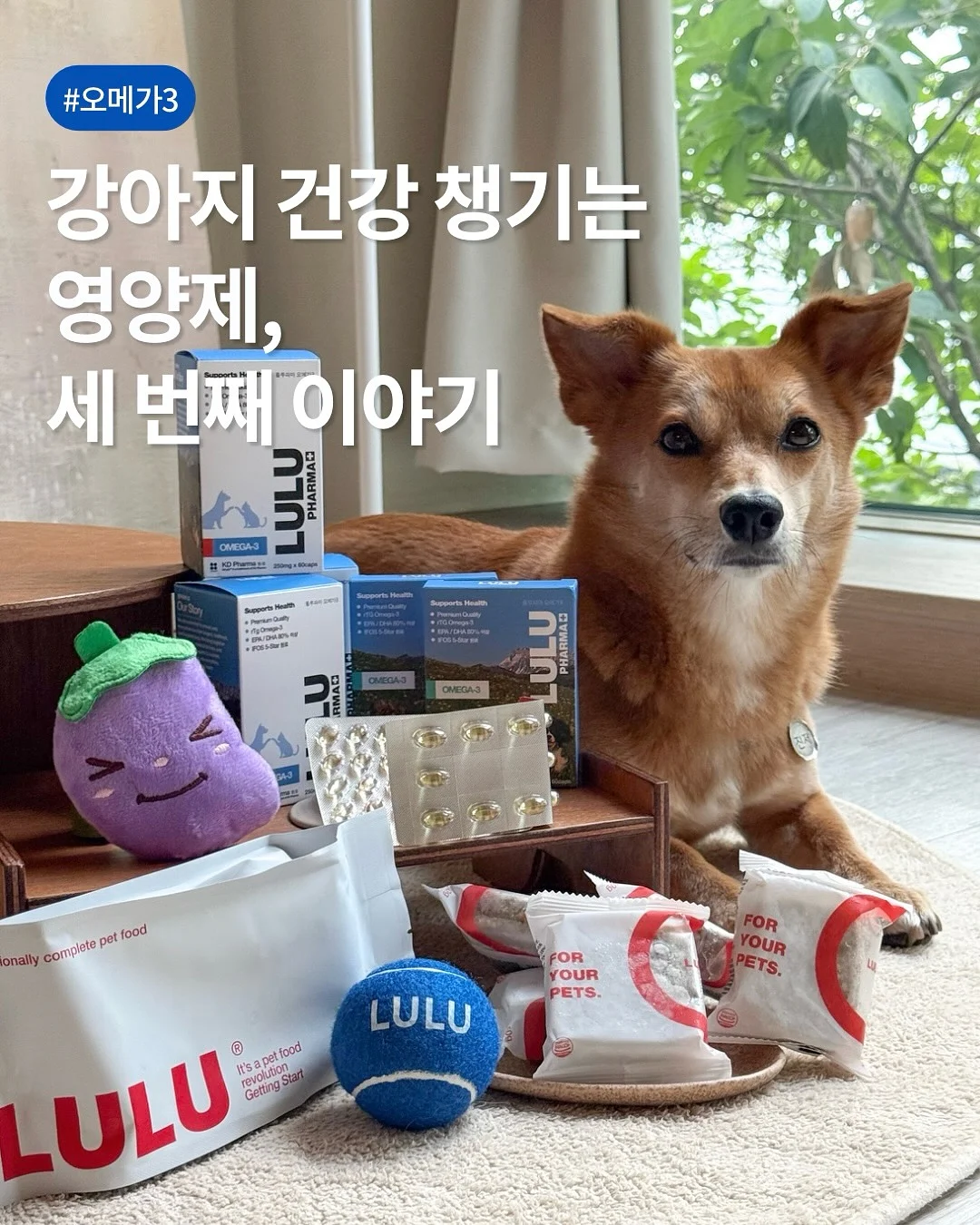 반팔가디건 1
