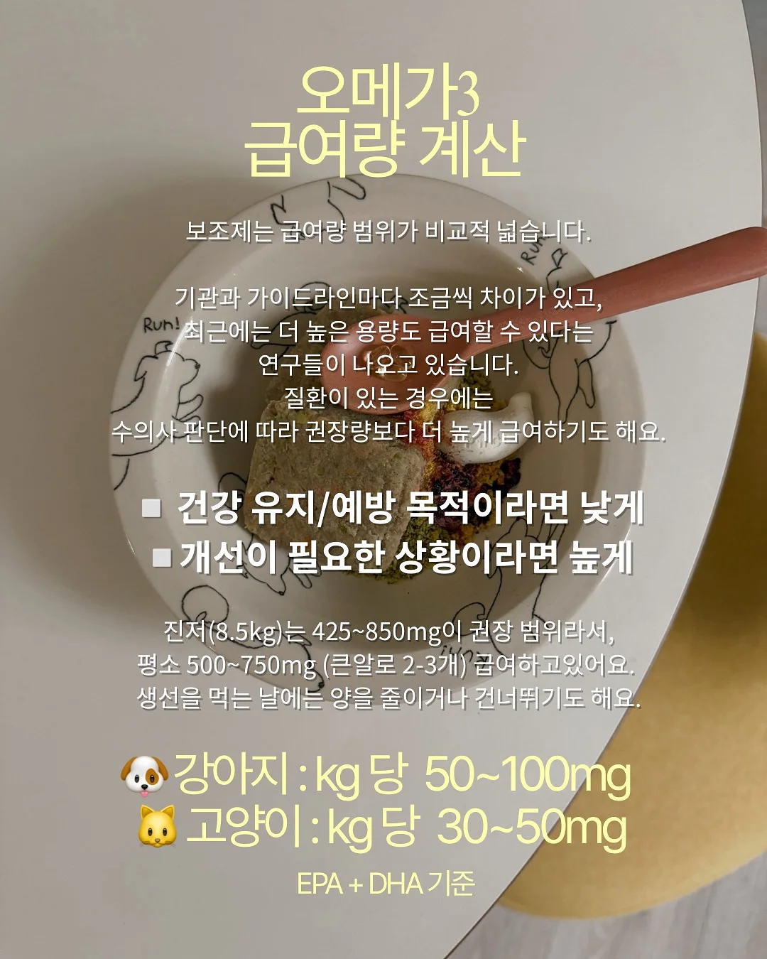 반팔가디건 6